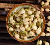 鮮茉莉花怎么炮制成茶？