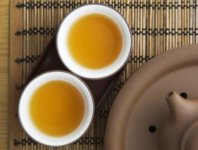 苦蕎茶與梔子花可以泡茶嗎？
