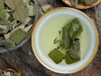 荷葉茶為什么叫短命茶？