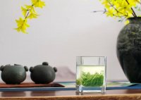 茶藝師證書(shū)含金量？