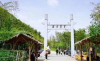 5月12日：徒步貢茶古道，天然氧吧，綠色之旅